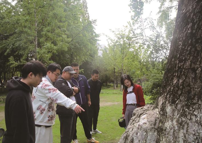 濠河景區(qū)古樹名木養(yǎng)護正當時